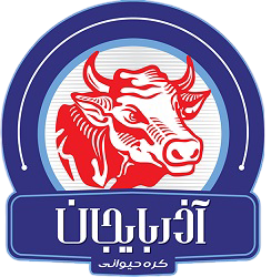 Brand 4